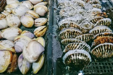 【進(jìn)出口知識(shí)】出口水產(chǎn)品養(yǎng)殖場備案